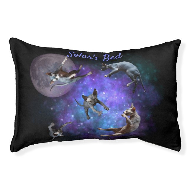 Space Sphynx Cats Cosmos Hairless Cat Custom Name Pet Bed (Front)