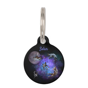 Space Sphynx Cats Floating Kittens in Galaxy Pet ID Tag