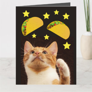 SPACE TACO CAT funny Birthday Greeting card