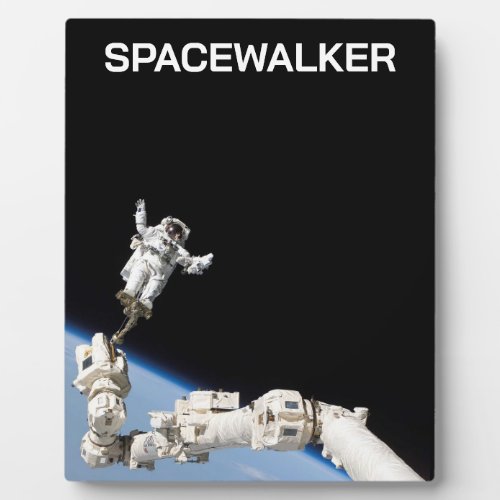 Spacewalker Plaque