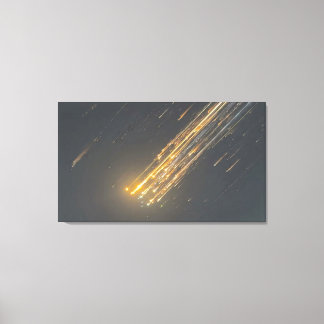 SpaceX's Amazing Downfall - Iconic Canvas Art" Print