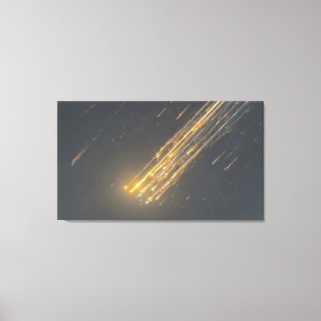 SpaceX's Amazing Downfall - Iconic Canvas Art" Print (Front)