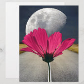 Spacey Cosmos (Front/Back)