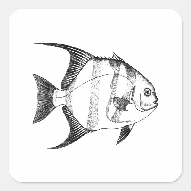 Spadefish Illustration Square Sticker (Front)