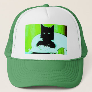 spaghetti cat hat