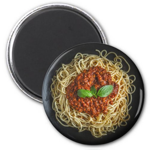 Spaghetti Magnet