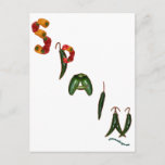 Spain Chili Peppers Postcard