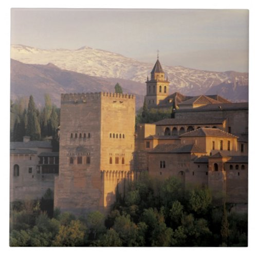 Spain Granada Andalucia The Alhambra Ceramic Tile