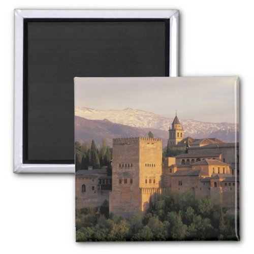 Spain Granada Andalucia The Alhambra Magnet