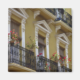 Spain, Sevilla, Andalucia Geraniums hang over Magnet