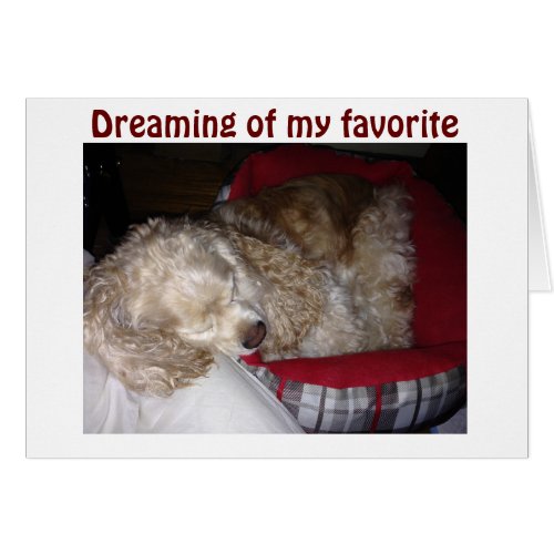 SPAINIEL IS DREAMING OF FAV PERSON_YOU