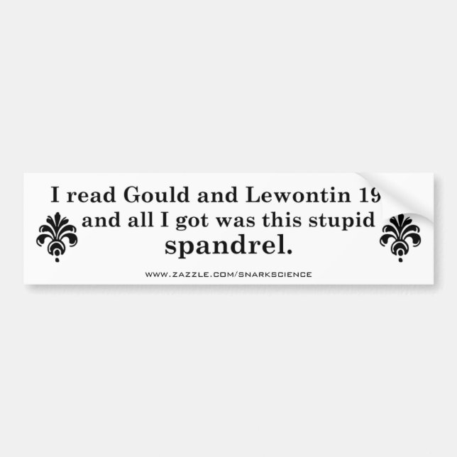 Spandrels Bumper Sticker (Front)