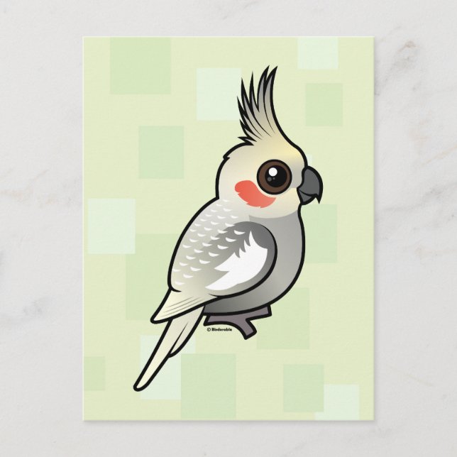 Spangled Cockatiel Postcard (Front)