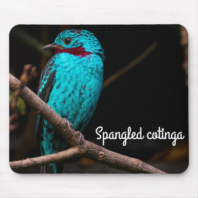 Spangled Cotinga Mouse Pad (Front)