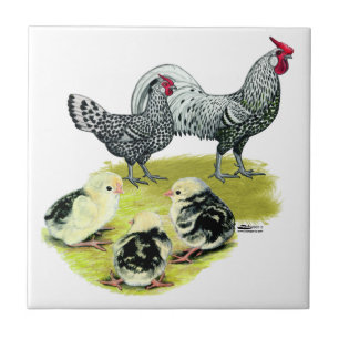 Spangled Hamburg Family Ceramic Tile