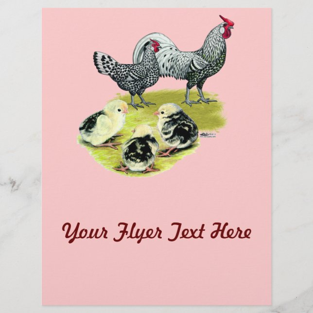 Spangled Hamburg Family Flyer (Front)