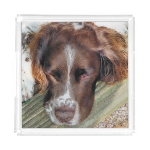 SPANIEL ACRYLIC TRAY