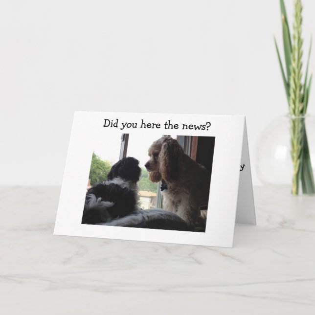 SPANIEL AND HAVANESE SAY HAPPY BIRTHDAY TO YOU CARD (Front)