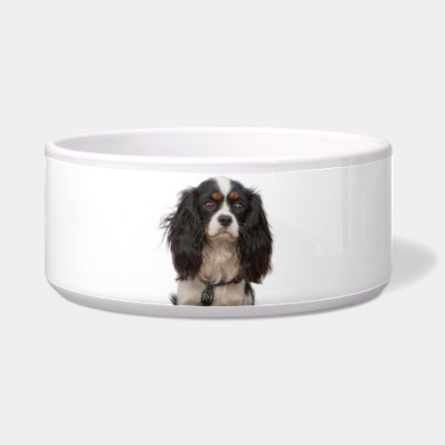 SPANIEL BOWL