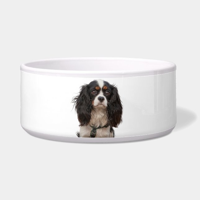 SPANIEL BOWL (Front)