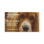 Spaniel Breed Business Card