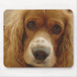 Spaniel Breed Mouse Pad