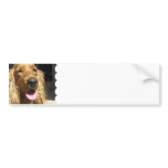 Spaniel Dog Bumper Sticker
