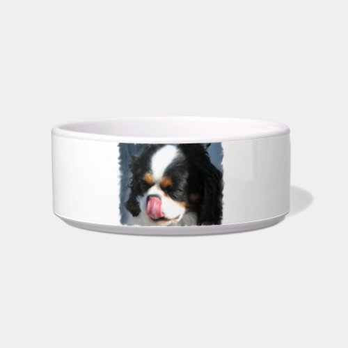 Spaniel Dog Pet Bowl