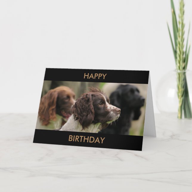 Spaniel Greetings Card (Front)