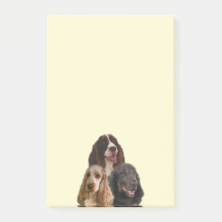 Spaniel Love - Notes