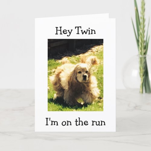 SPANIEL ON THE RUN_HAPPY BIRTHDAY TWIN CARD