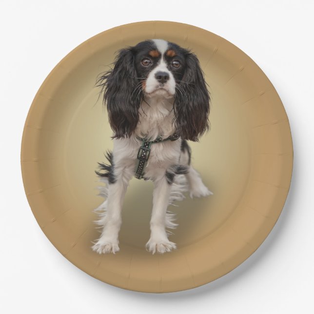 SPANIEL PAPER PLATES (Front)