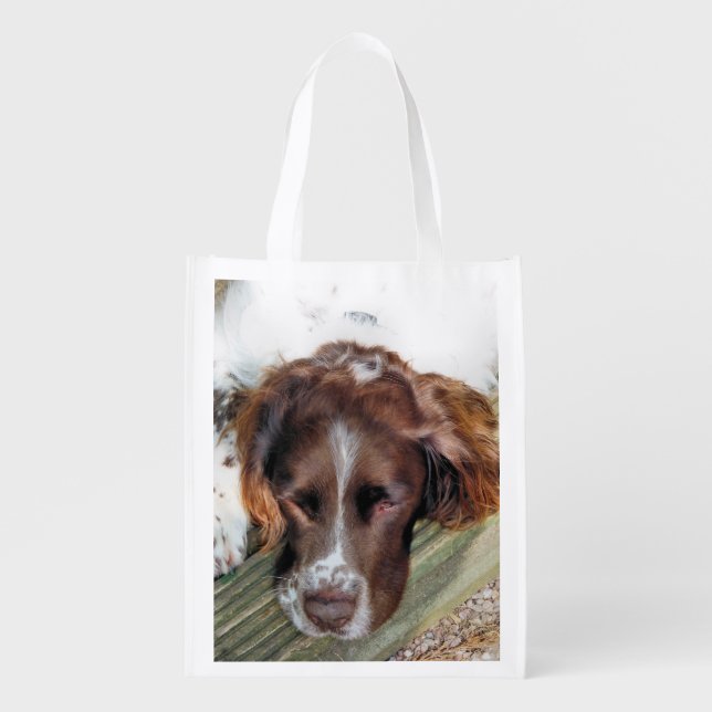 SPANIEL REUSABLE GROCERY BAG (Front)