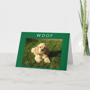 SPANIEL SAYS WOOF-AND-HAPPY BIRTHDAY MOM CARD
