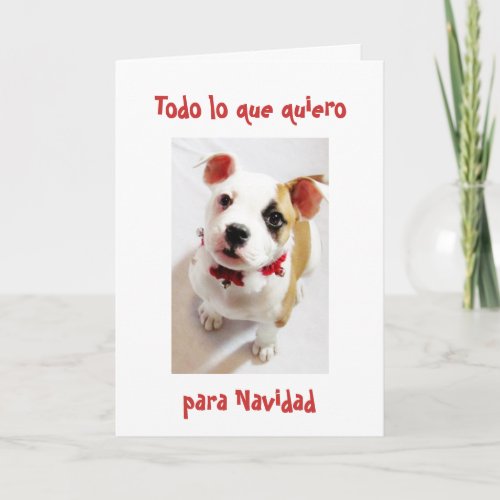 Spanish  All I want for Christmasis you Holiday Card