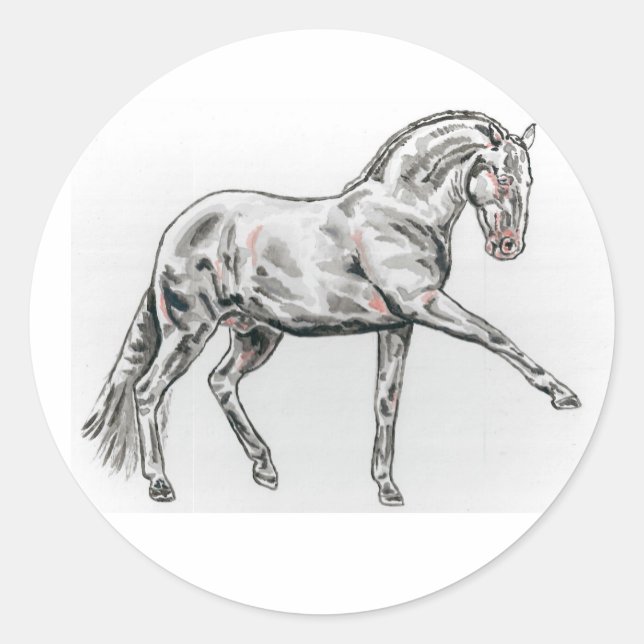 Spanish Andalusian Horse Stickers (Front)