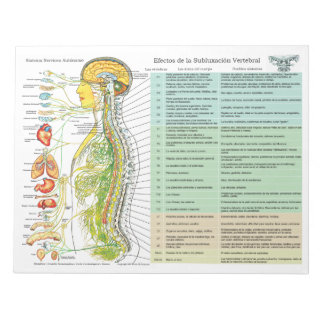 Spanish ANS Subluxation Effects Tear Off Pad