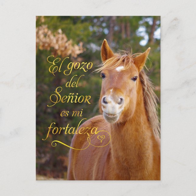Spanish Bible Verse Smiling Horse Postcards (Front)