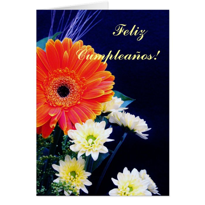 Spanish Birthday/Feliz cumpleanos Greeting Card