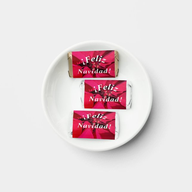 Spanish Christmas Treats ¡Feliz Navidad! Hershey's Miniatures (Plate)