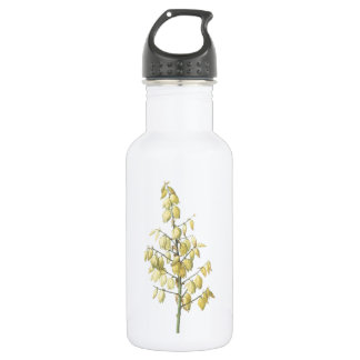 Spanish dagger(Yucca gloriosa) by Redouté Water Bottle