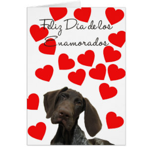 Spanish Día Enamorados Glossy Grizzly Valentine Cards
