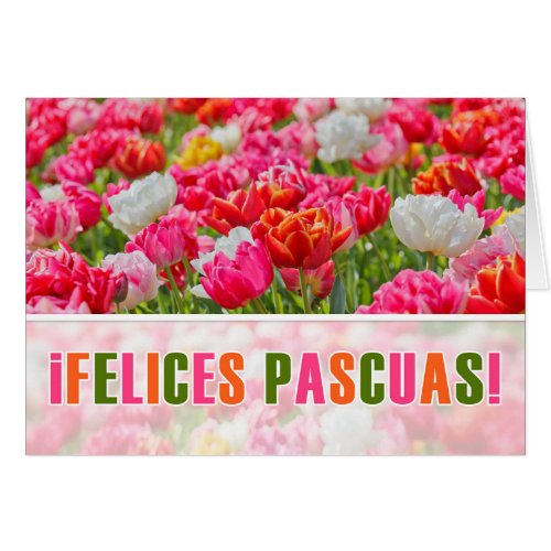 SPANISH Easter Joyeuses Paques Pink Tulip Garden