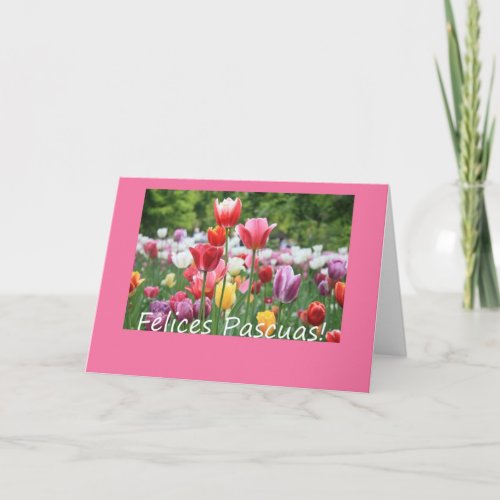 Spanish Easter Tulips Holiday Card