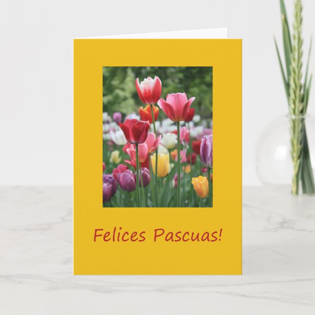 Spanish Easter Tulips Holiday Card (Front)