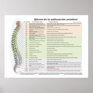 Spanish Effects of Spinal Subluxation Chiropractic Poster