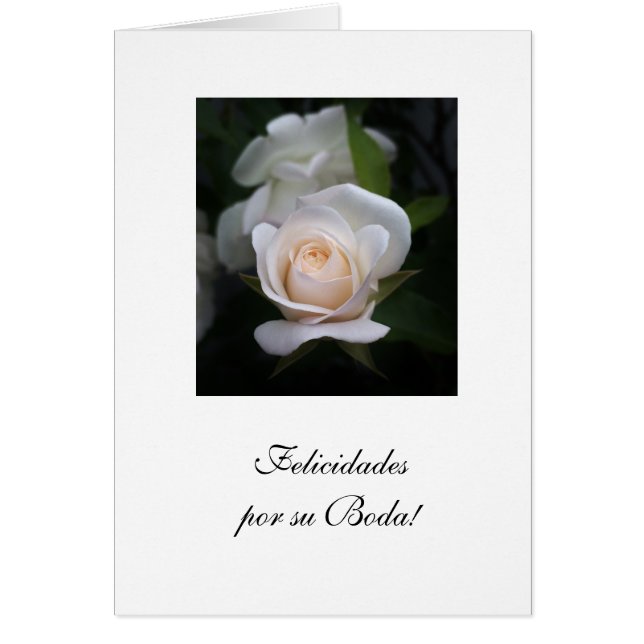 Spanish: Felicidades por su Boda/ Wedding (Front)