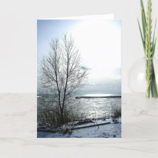 Spanish-Feliz Navidad y Próspero Año nuevo! Holiday Card