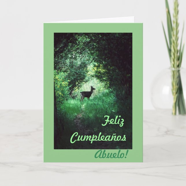 Spanish: Grandpa/Grandpa's Birthday Card (Front)