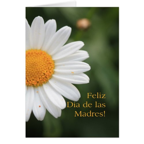 Spanish Happy Mothers Day